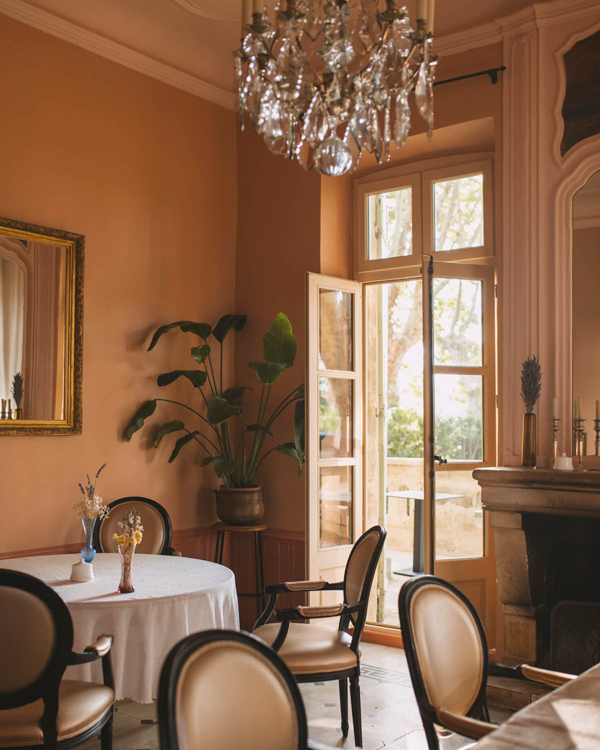 LAURANNE ELISE SCHMITT